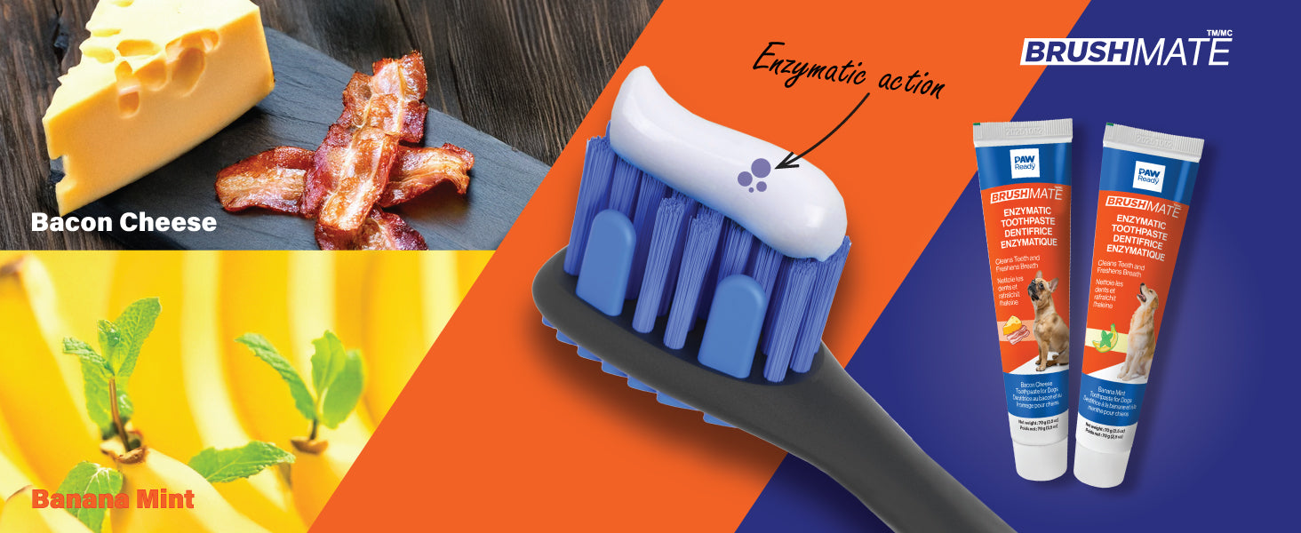 Pet Toothpaste features