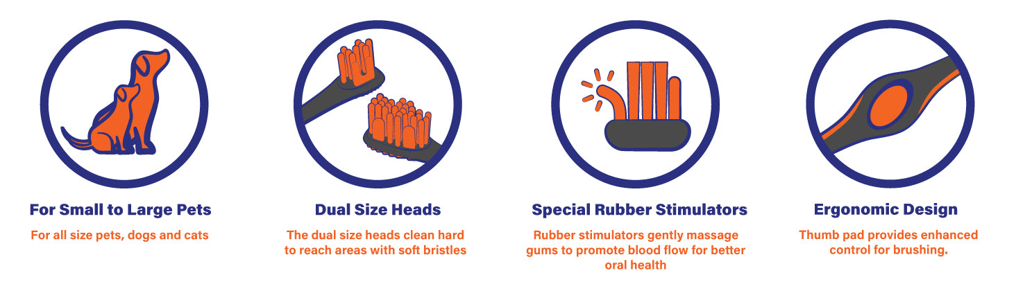 A+ Amazon Content Paw Ready Toothbursh feature