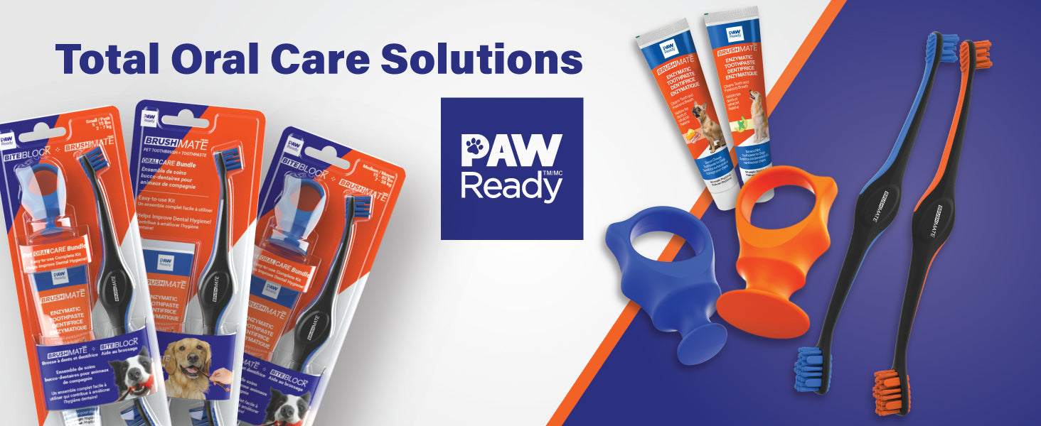 Paw Ready Pet dental Care solutions
