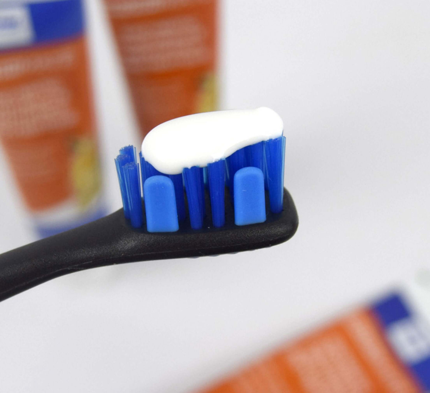 Clean Dog's Teeth with Blue BrushMate toothbrush and toothpaste on bristles.