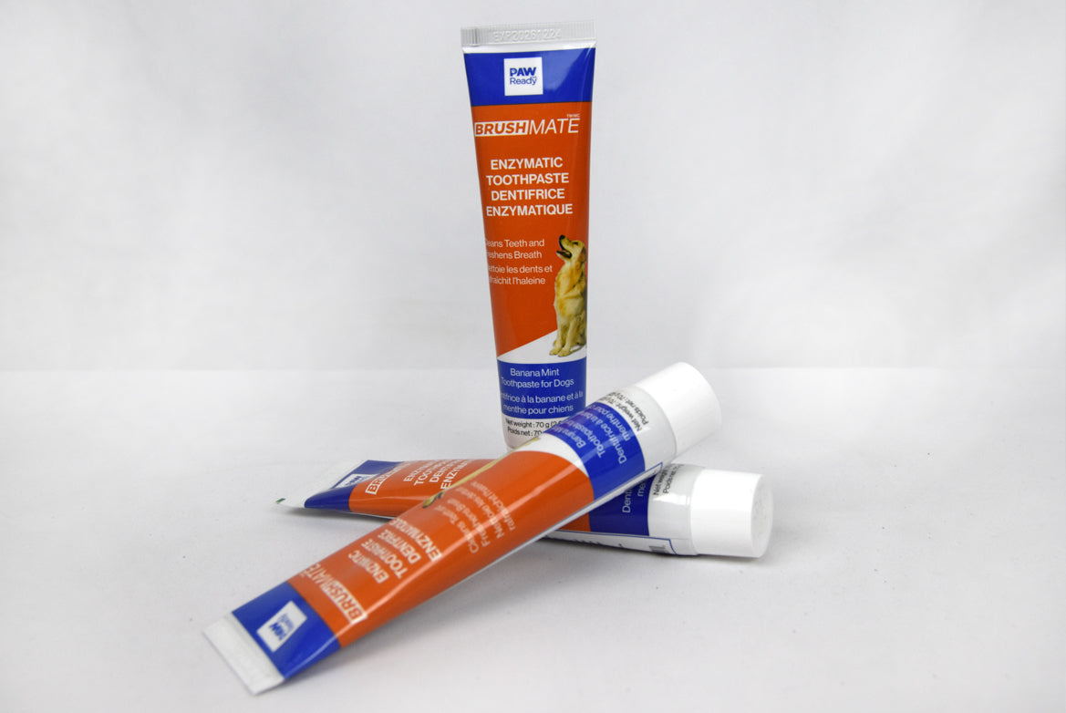 Best Dog Toothpaste: Paw Ready Enzymatic dog toothpaste