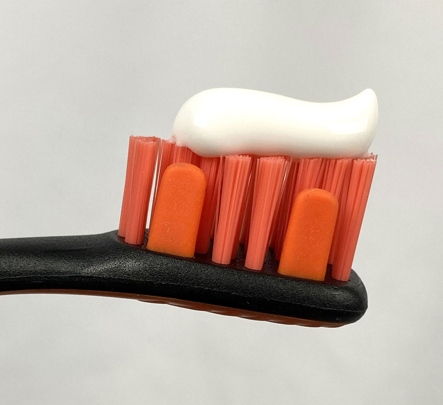 Clean Dog's Teeth with orange BrushMate toothbrush and toothpaste on bristles.