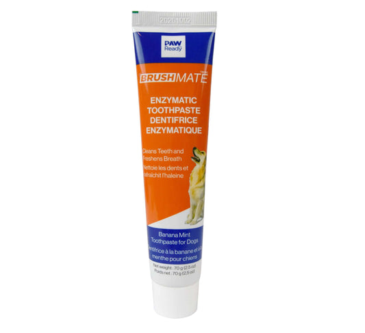 Paw Ready's dog enzymatic toothpaste Banana Mint flavor